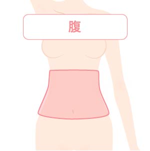 腹医療脱毛料金
