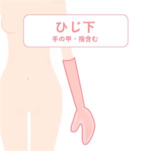 ひじ下医療脱毛料金