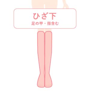 ひざ下医療脱毛料金