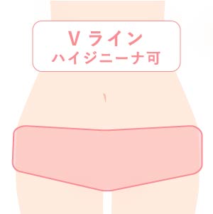 Vライン医療脱毛料金