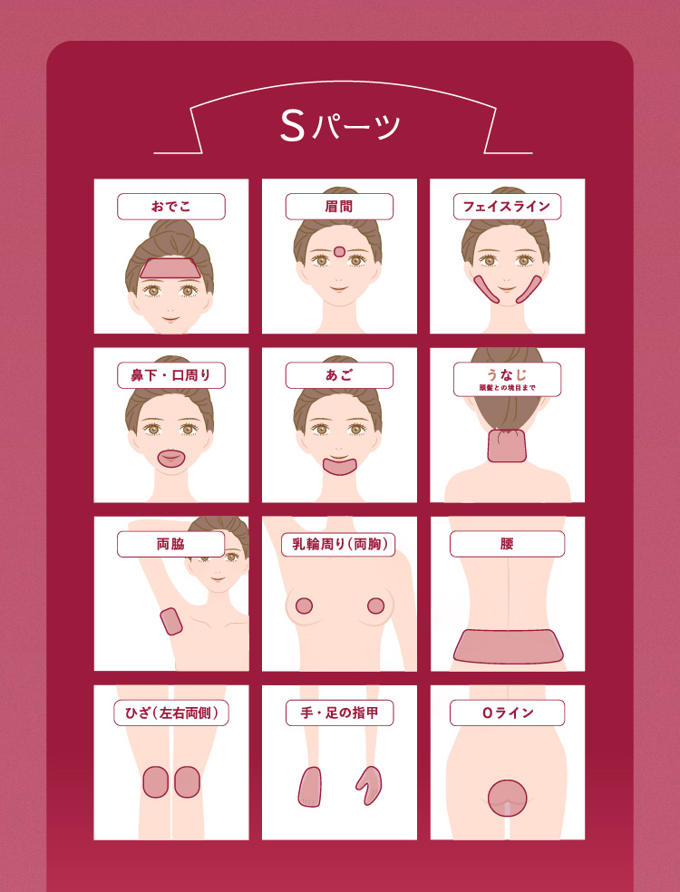 施術可能部位2