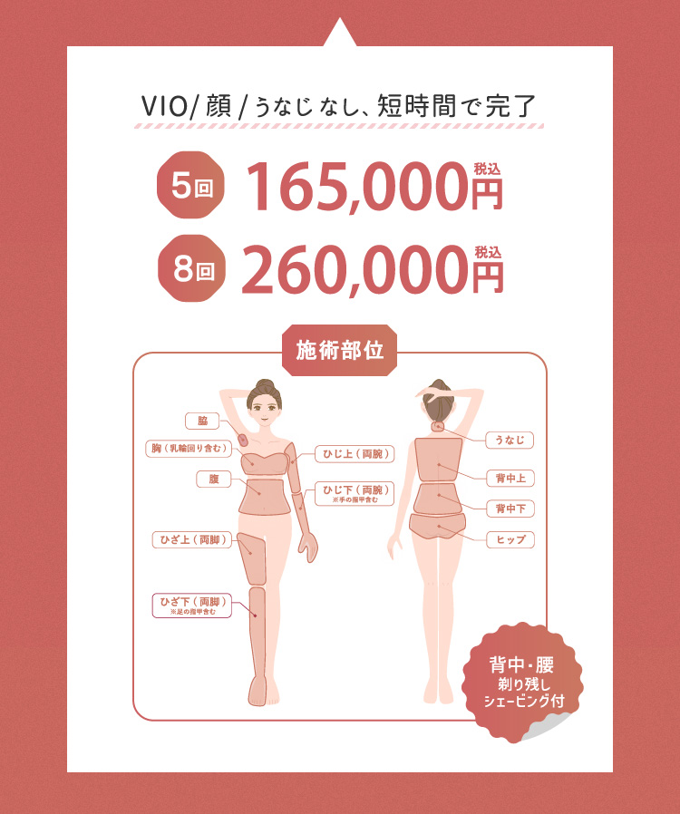 ベーシックコース