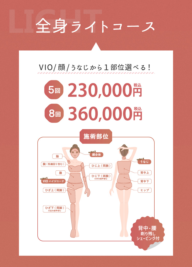 ライトコース