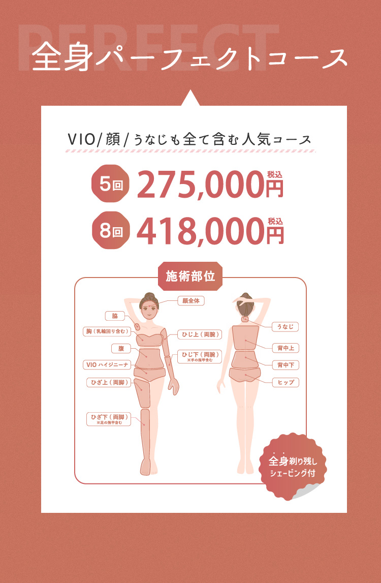パーフェクトコース