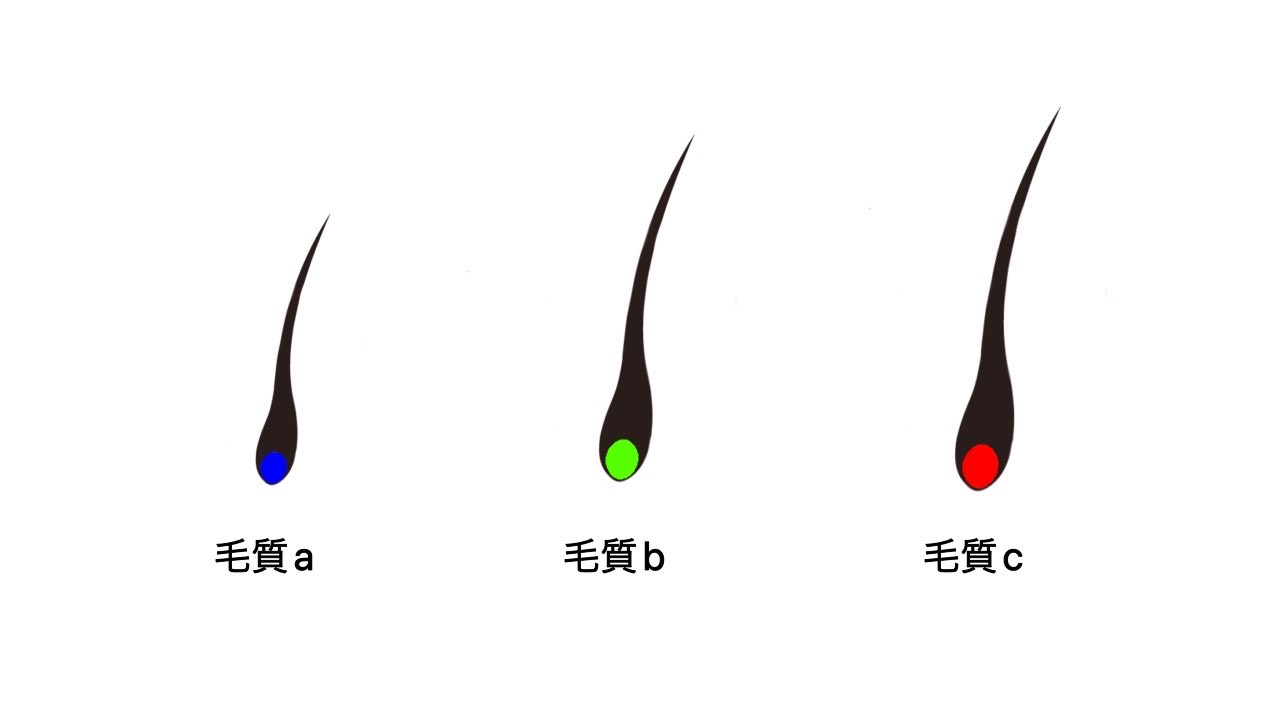 毛質
