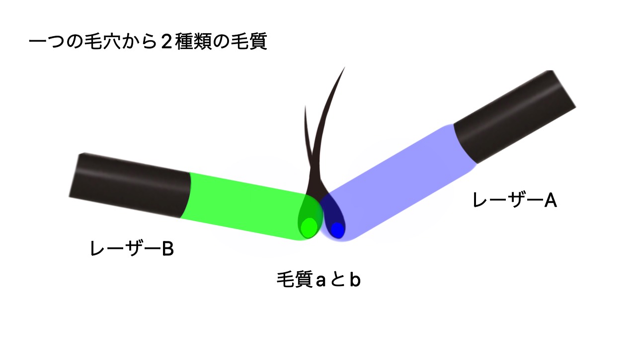 理想的な毛質と波長の関係