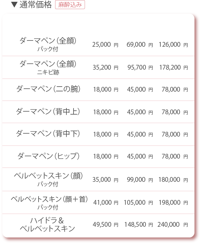 ヴェルヴェットスキン料金1