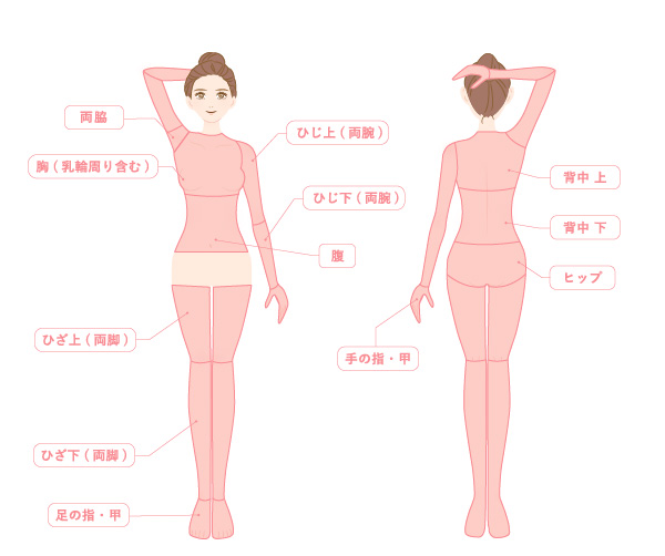 全身ベーシックコース