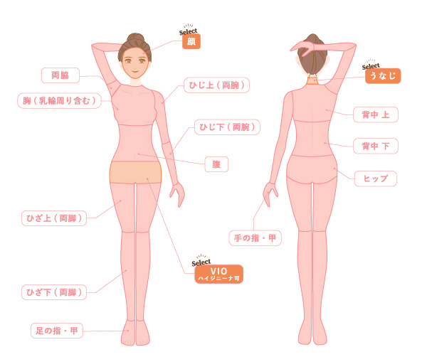 全身ライトコース