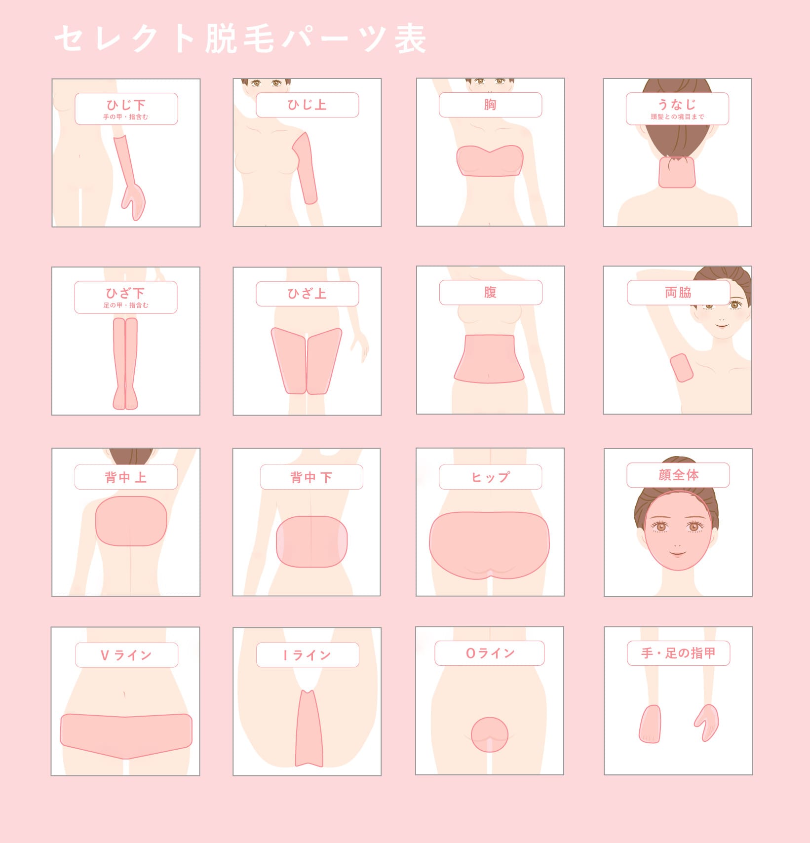 セレクトコース施術部位