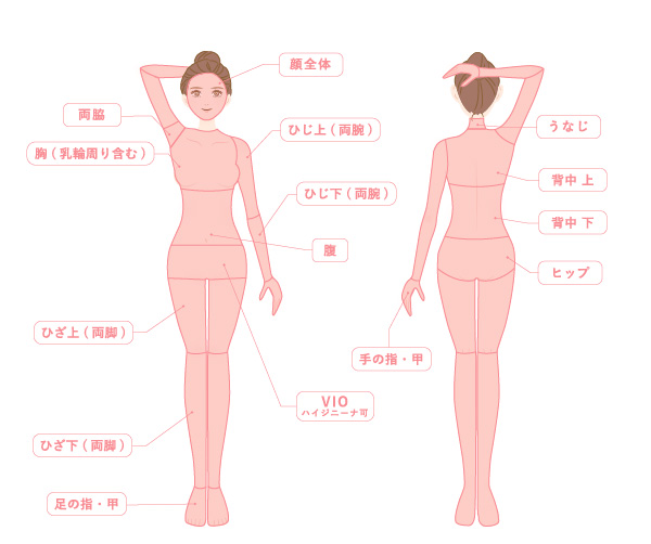 全身パーフェクト