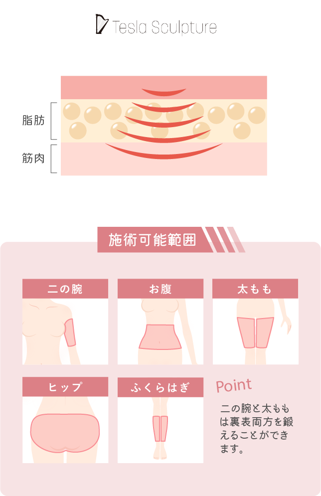 テスラ施術範囲
