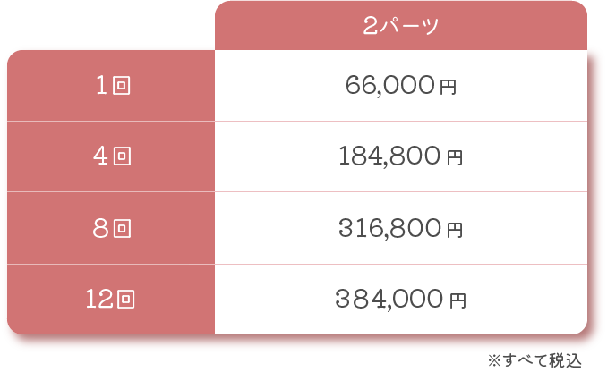 テスラスカルプチャー料金2