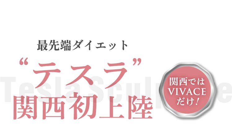 テスラスカルプチャー