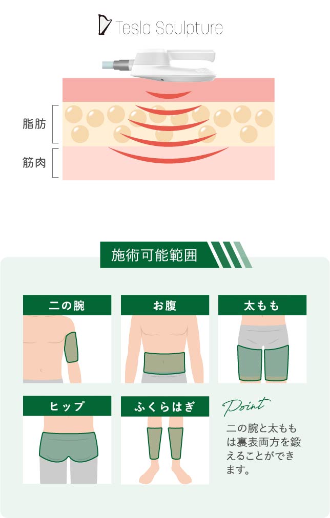 テスラ施術範囲