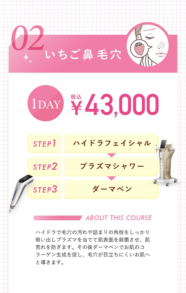 いちご鼻毛穴治療料金