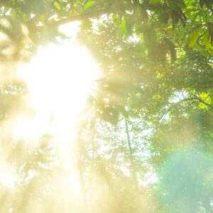 医療脱毛当日にマッサージやエステを受けても大丈夫？